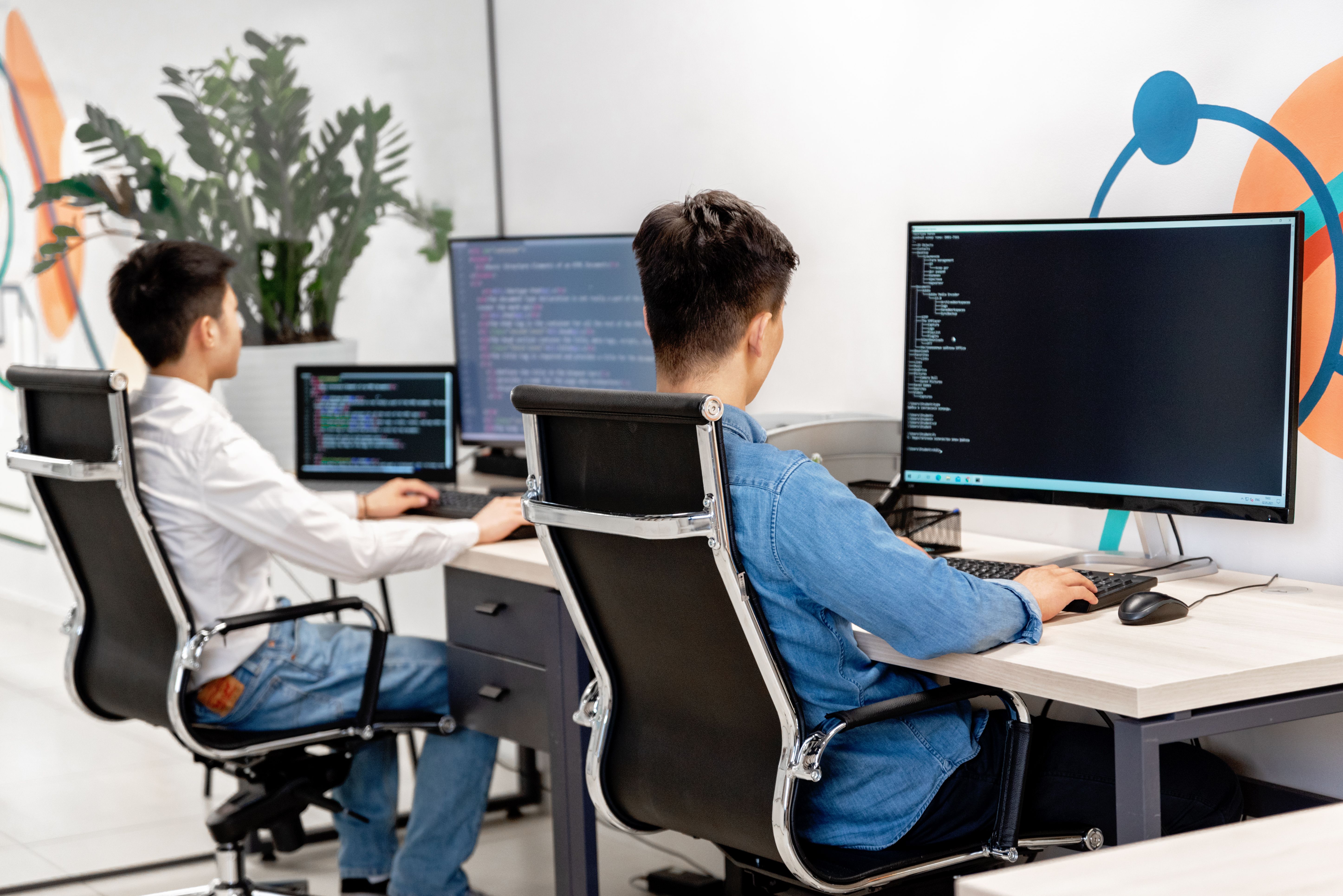 Web application development